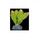 Planta artificial Seda Echinodus moteado 11 cm