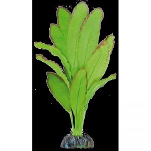 Planta artificial Seda Echinodus Spidemet 39 cm