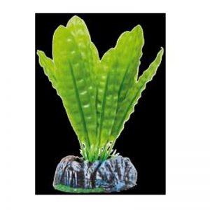Planta artificial Seda Aponogeton boiviano 13,5 cm
