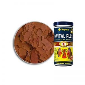 D-VITAL PLUS (TROPICAL) 100 ml (20 gramos).