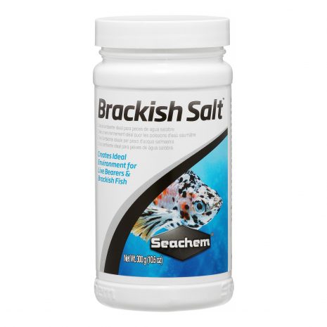 brackish salt