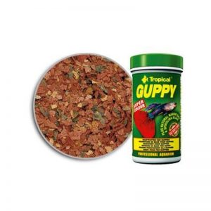 GUPPY (TROPICAL) 100 ml (20 gramos).