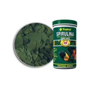 Spirulina Super Forte (TROPICAL) 250 ml (50 gramos).