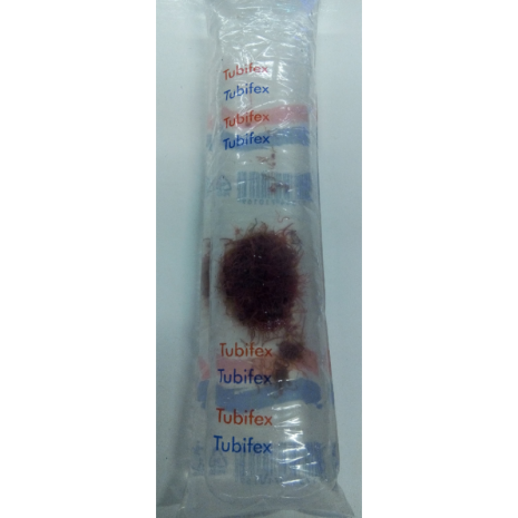 Tubifex vivo (180 ml.)