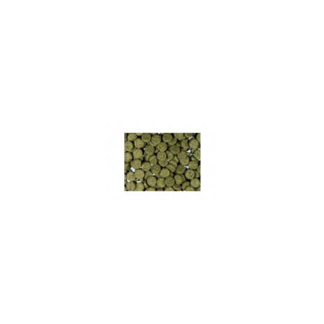 Pastilla Adhesiva Espirulina (Aquamail) 100 grs