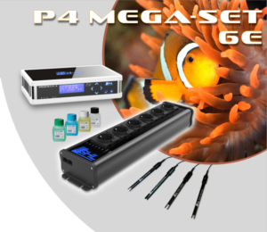 kit-P4-Mega-6E-300x260