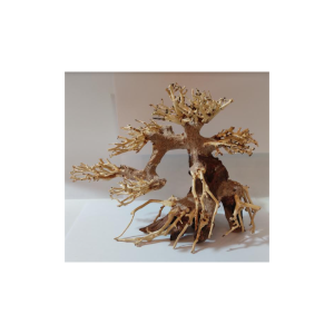 Bonsai1001