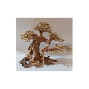 Bonsai1001
