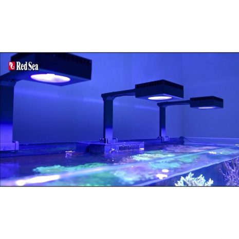Pack Reef LED 50 (Red Sea)