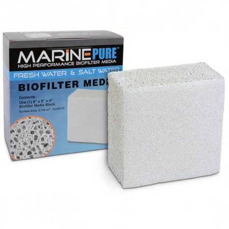marine-pure-block-20x20x10-cm.jpg