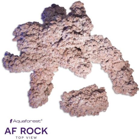 real-reef-rock-kilo-8.jpg