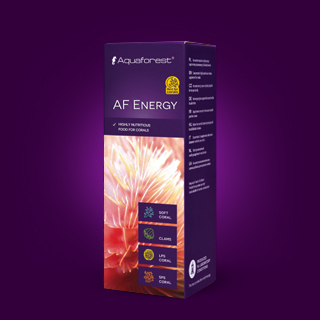 AF-Energy_best-for-corals.png