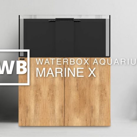 waterbox-110.4-roble.jpg