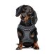 xt1010-arnes-step-in-xt-dog-gris_general_14345