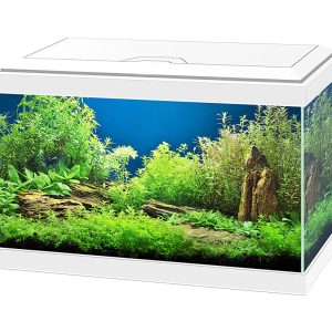 Acuario Aqua 20 LED (Ciano)