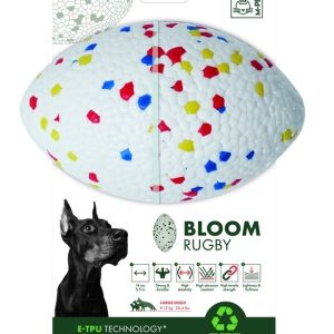 Bloom Rugby (Mixed)