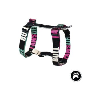 BULL ARNES NYLON COLECCION PAWS LIFE