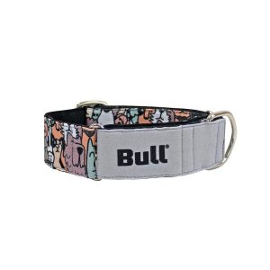 BULL COLLAR GALGO CLUB DOG