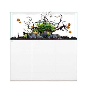 Clear PRO 6025 (Waterbox)