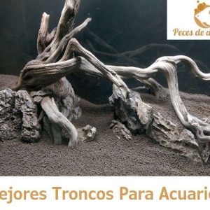 Decoración Rocas/Tronco