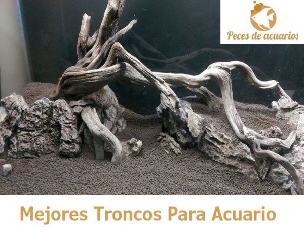 Decoración Rocas/Tronco