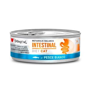 Disugual Diet Gato Intestinal Pescado Blanco