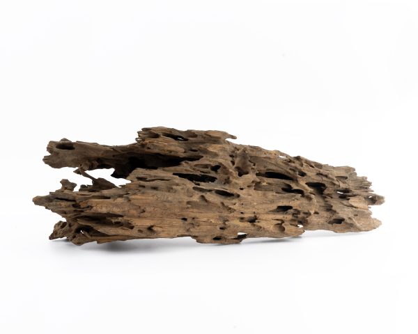 Dragon wood (1Kg)