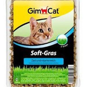 Gimcat Soft Gras Hierba para Gatos