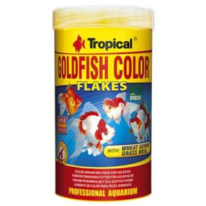 Goldfish Color Escamas (Tropical)