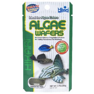 HIKARI ALGAE WAFERS