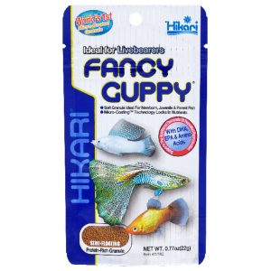 HIKARI FANCY GUPPY