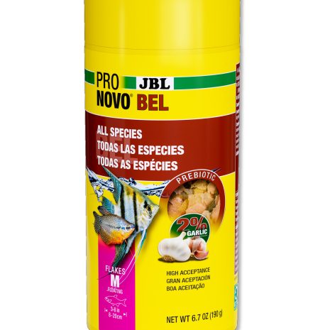 JBL NovoBel