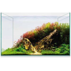 Kit AQUASCAPE BASIC 38 (ICA)