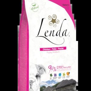 Lenda Puppy Medium