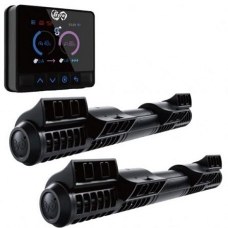 Nueva Bomba Gyre 330 Double Cloud Edition (Maxspect)