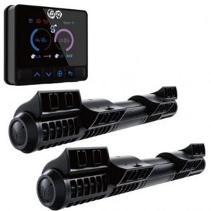 Nueva Bomba Gyre 350 Double Cloud Edition (Maxspect)