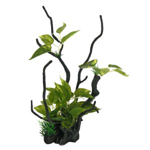 Troncos con plantas L2 de ICA (29.5 cm)