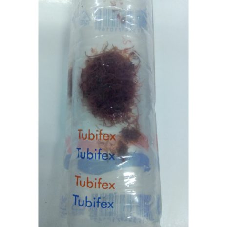 Tubifex 180 ml